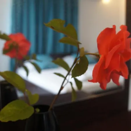 валена град Guest house Chernomorets